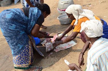 Vizhinjam, Fish Market,_DSC_9032_H600